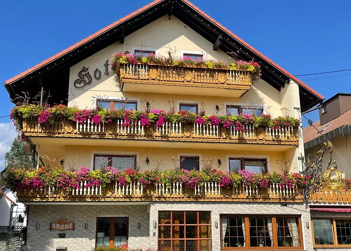 Hotel Krone Igelsberg Freudenstadt
